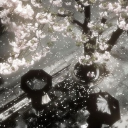 𝖜𝖍𝖎𝖙𝖊𝖑𝖔𝖙𝖚𝖘⋆.ೃ࿔*:･ Discord server icon