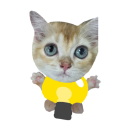 [💡] 고양이 연구소