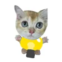 [💡] 고양이 연구소