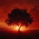 Red Tree Studio