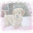 ʟɪᴛᴛʟᴇs ᴅᴀʏᴄᴀʀᴇ >⩊<