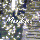 Meadows™  ||  ᴄʜɪʟʟɪɴɢ • ʜᴀɴɢᴏᴜᴛ • ɢᴀᴍɪɴɢ • ꜱꜰᴡ • ꜱᴏᴄɪᴀʟ • ᴍᴏʀᴇ's icon