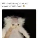 Brain damage gang