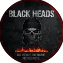 BLACK HEADS: SHADOW SURVIVAL
