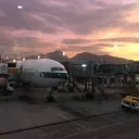 The Indo X palestine server Discord server icon