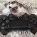 TheFiloGameClub