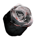 Dirtbags Discord server icon