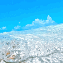 The Reef