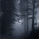 ALIENS OF PEMBROKE ☆༉