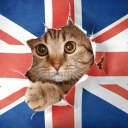 /UKUG Discord server icon