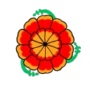 the marigold garden.