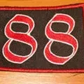88 /nzi