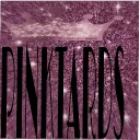 ꗥ～ꗥ🌸ＰＩＮＫＴＡＲＤ S🌸ꗥ～ꗥ