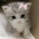 pookiestan