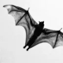 batcave