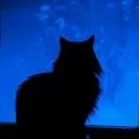 Midnight Sky