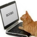 The House of Silly Discord server icon