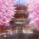 °❀⋆𝒮𝒶𝓀𝓊𝓇𝒶 𝓃𝑜 𝒴𝑜𝓇𝓊.ೃ࿔*:･