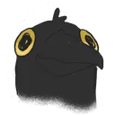 Crow's server