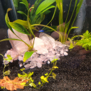 Limitless fish (Offical Discord) Discord server icon