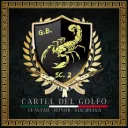 | Cartel Del Golfo
