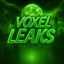 Voxel Leaks
