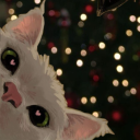 Driftveil Discord server icon