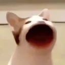 『겜거디』