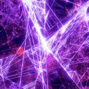 The Web of Life and Destiny