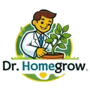 Dr.Homegrow's Lounge.