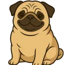 Mops Convoys