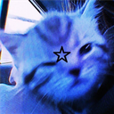 Server Icon