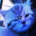 ִ ࣪𖤐 starry.miso ִ ࣪𖤐
