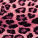 Server icon for ebony room 18+