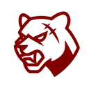 Scar Programming Language