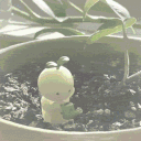 ˖  𑣲    smiskigarden﹒dnfil﹒social Discord server icon