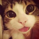 Mmm?