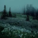 ⊹₊⟡⋆The Mother Board⊹₊⟡⋆