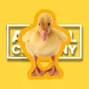 Duck Company