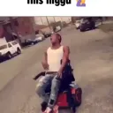 Fraud.sh old