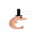 KRILL SONG