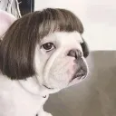 Unknow