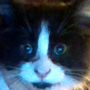 Anger Management Server Discord server icon