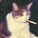 Spaghetti Shooting Cowboy Blues server icon