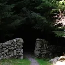 The Woods Out Back