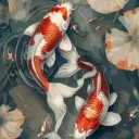 Koi