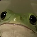 Ribbit Realm 21+