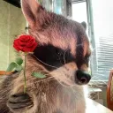 Azmira's COMMUNITY Discord server icon