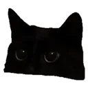 SpaceCats Universe