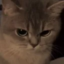 rar .